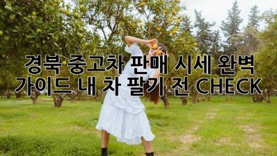 경북 중고차 판매 시세 완벽 가이드: 내 차 팔기 전 CHECK!