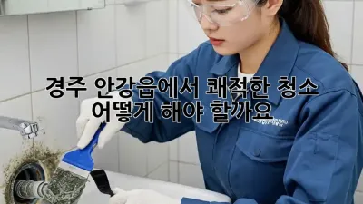 경주 안강읍에서 쾌적한 청소, 어떻게 해야 할까요?